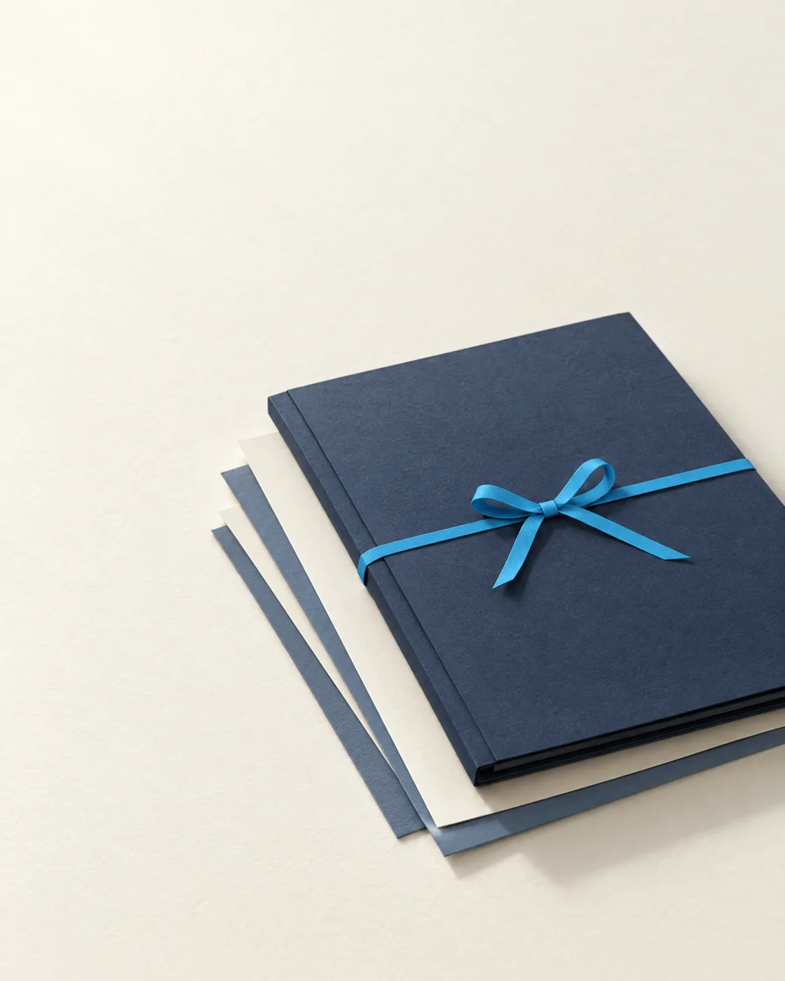 Paper dossier tied with a blue ribbon